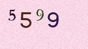 Visual Confirmation Security Code