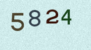 Visual Confirmation Security Code