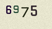 Visual Confirmation Security Code