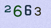 Visual Confirmation Security Code