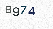 Visual Confirmation Security Code
