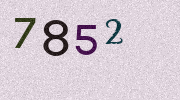 Visual Confirmation Security Code