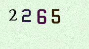Visual Confirmation Security Code