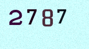 Visual Confirmation Security Code