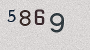Visual Confirmation Security Code