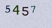 Visual Confirmation Security Code