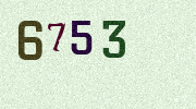 Visual Confirmation Security Code
