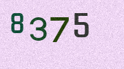 Visual Confirmation Security Code