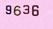 Visual Confirmation Security Code