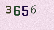 Visual Confirmation Security Code