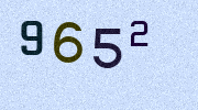 Visual Confirmation Security Code