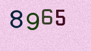 Visual Confirmation Security Code
