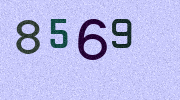 Visual Confirmation Security Code