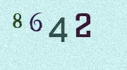 Visual Confirmation Security Code