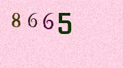 Visual Confirmation Security Code