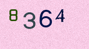 Visual Confirmation Security Code