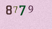 Visual Confirmation Security Code