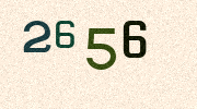 Visual Confirmation Security Code