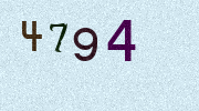 Visual Confirmation Security Code