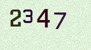 Visual Confirmation Security Code