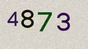 Visual Confirmation Security Code