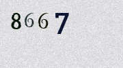 Visual Confirmation Security Code