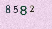 Visual Confirmation Security Code