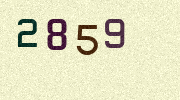 Visual Confirmation Security Code