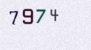 Visual Confirmation Security Code