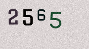 Visual Confirmation Security Code