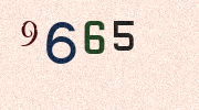Visual Confirmation Security Code