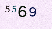 Visual Confirmation Security Code