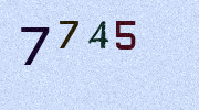 Visual Confirmation Security Code