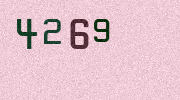 Visual Confirmation Security Code