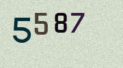 Visual Confirmation Security Code
