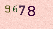 Visual Confirmation Security Code