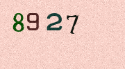 Visual Confirmation Security Code