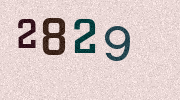 Visual Confirmation Security Code