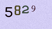 Visual Confirmation Security Code