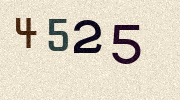 Visual Confirmation Security Code