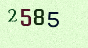 Visual Confirmation Security Code