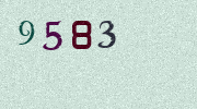 Visual Confirmation Security Code