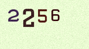 Visual Confirmation Security Code