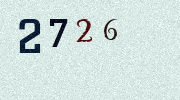 Visual Confirmation Security Code