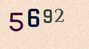 Visual Confirmation Security Code