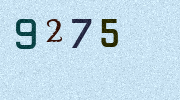 Visual Confirmation Security Code