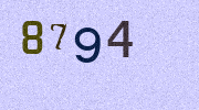 Visual Confirmation Security Code