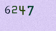 Visual Confirmation Security Code