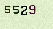 Visual Confirmation Security Code