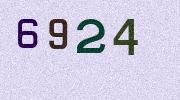 Visual Confirmation Security Code